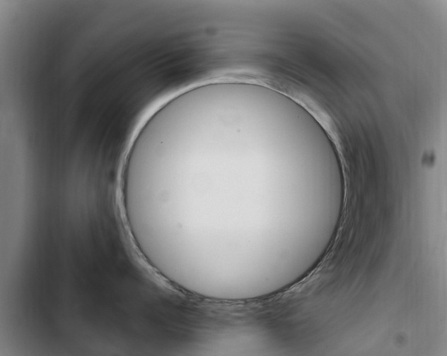 X0000103230960200808280947