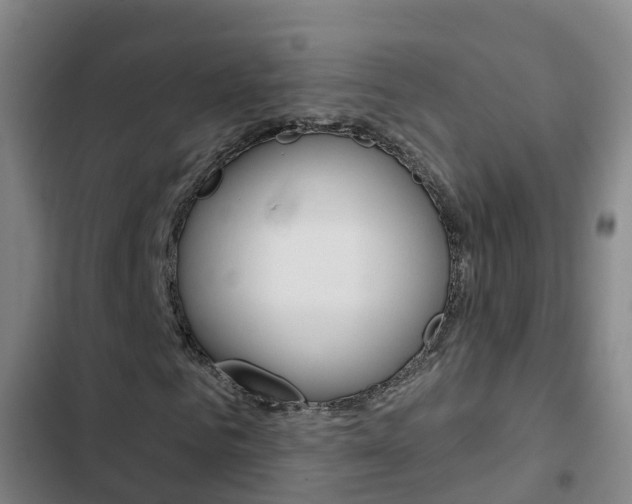 X0000103230961200808280946