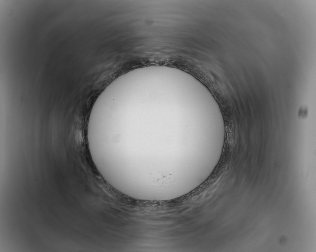 X0000103230962200808280946