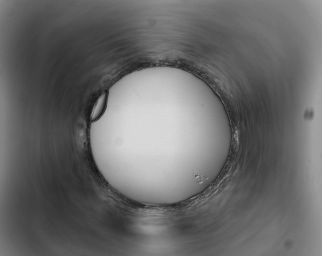 X0000103230963200808280946