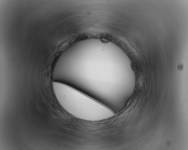 X0000103230964200808280946