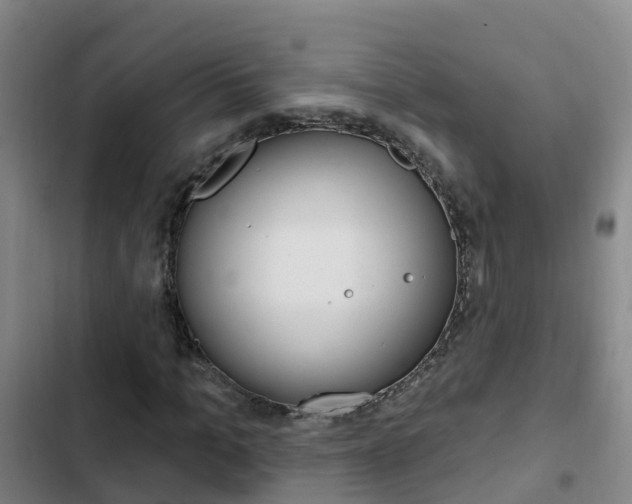 X0000103230965200808280946