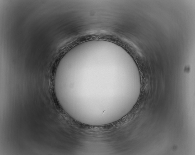 X0000103230966200808280946
