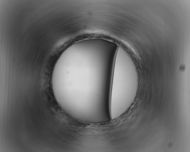 X0000103230967200808280946