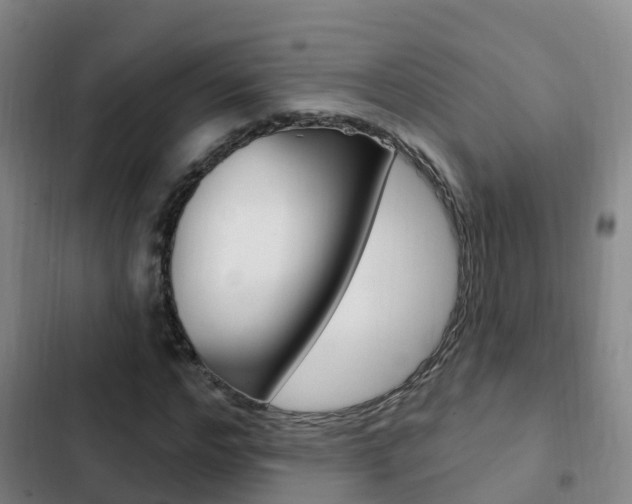 X0000103230968200808280946
