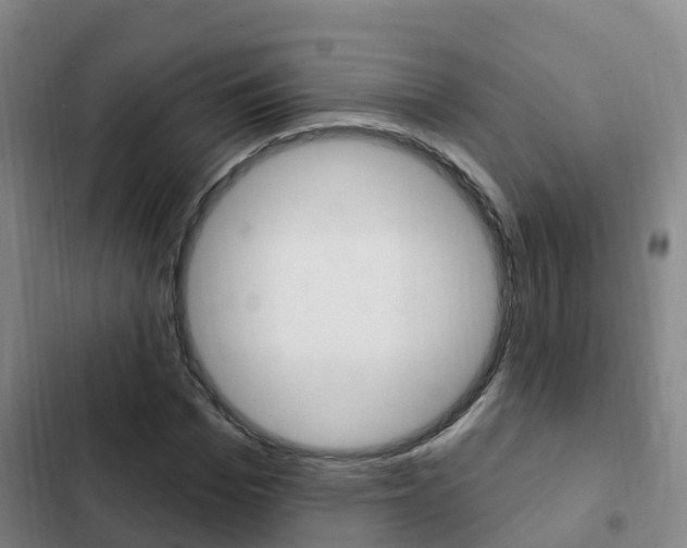 X0000103230969200808280946