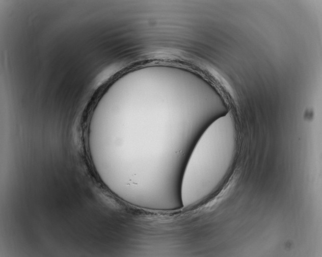 X0000103230970200808280946