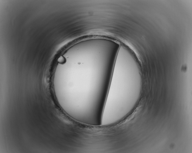 X0000103230971200808280946