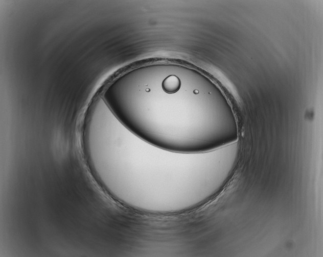 X0000103230972200808280946