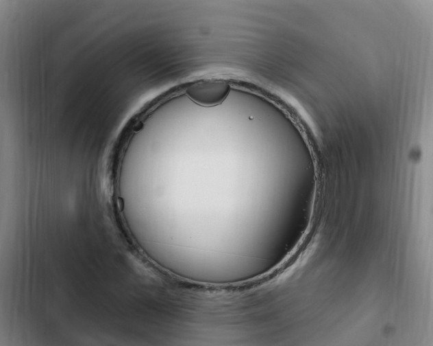 X0000103230973200808280946