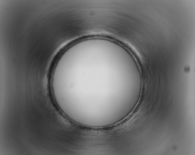 X0000103230975200808280946