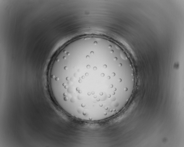 X0000103230978200808280946