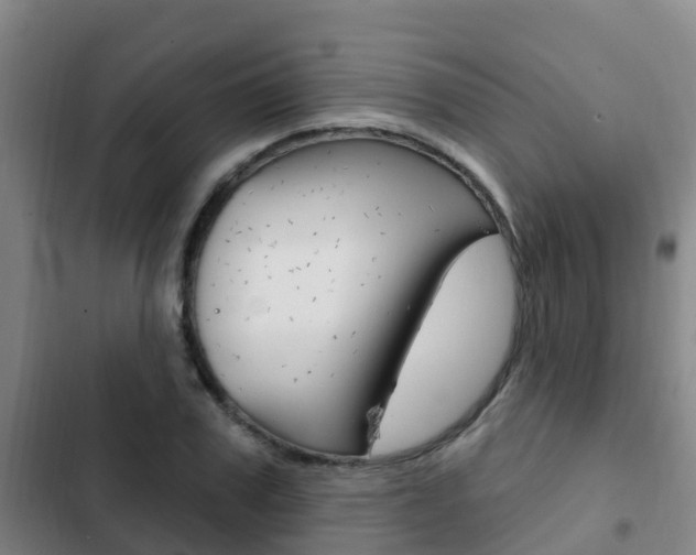 X0000103230979200808280945