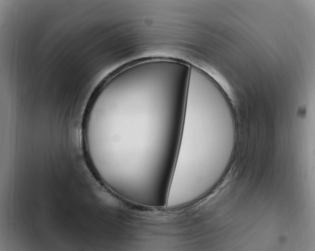 X0000103230980200808280945