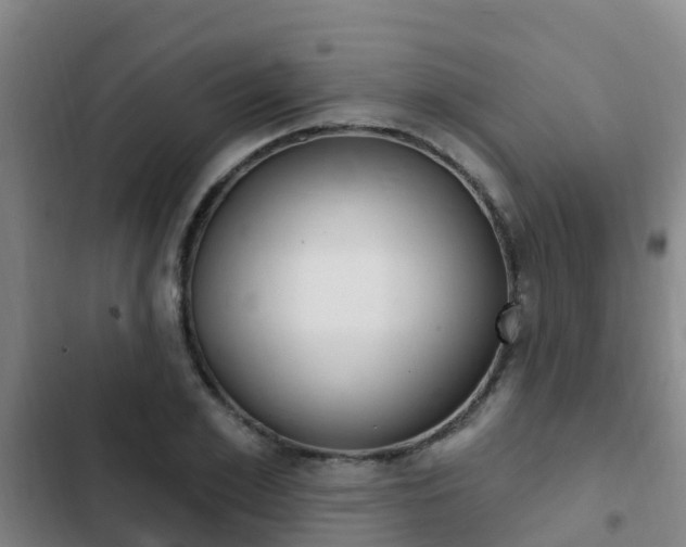 X0000103230981200808280945