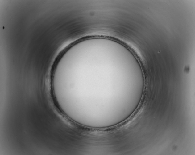 X0000103230982200808280945