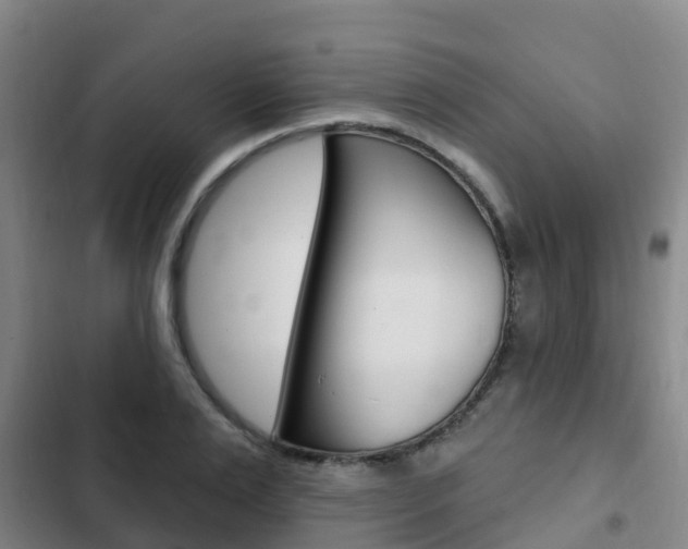 X0000103230983200808280945