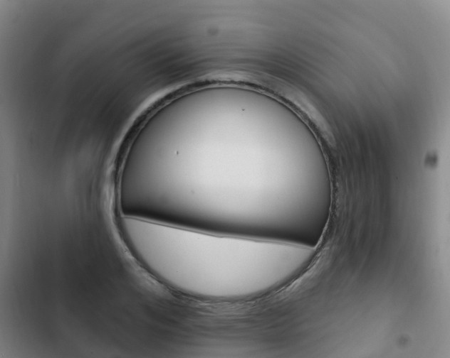 X0000103230984200808280945