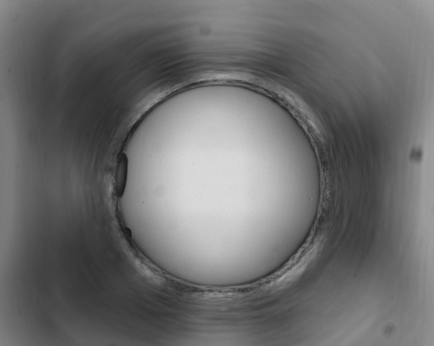 X0000103230985200808280945