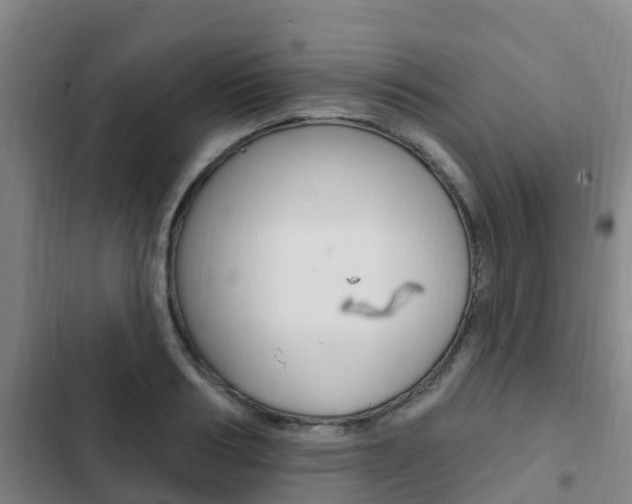 X0000103230986200808280945