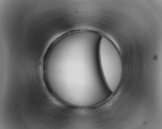 X0000103230987200808280945