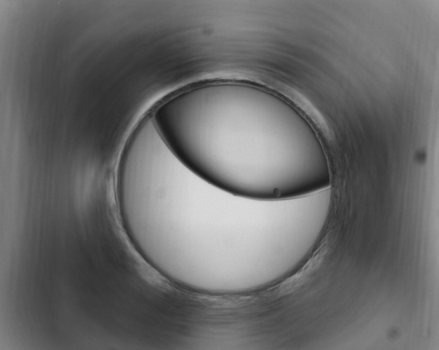 X0000103230988200808280945