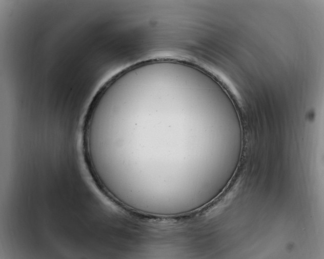 X0000103230991200808280945