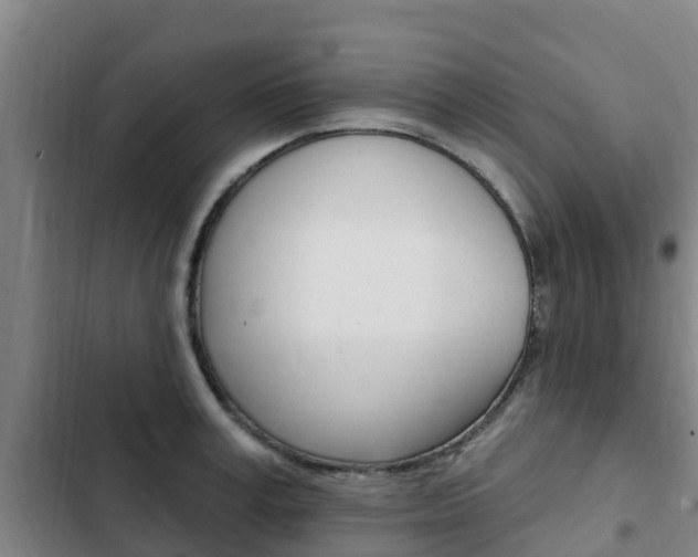 X0000103230995200808280945