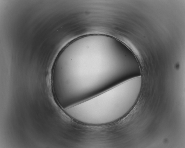 X0000103230996200808280945