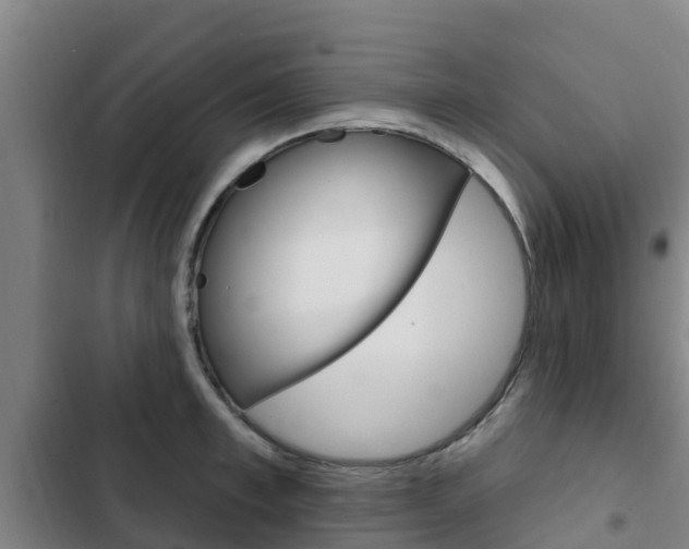 X0000103230997200808280945