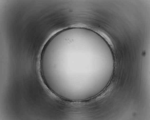 X0000103231000200808280945