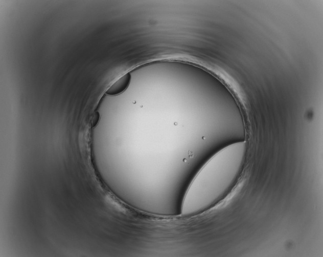 X0000103231001200808280945