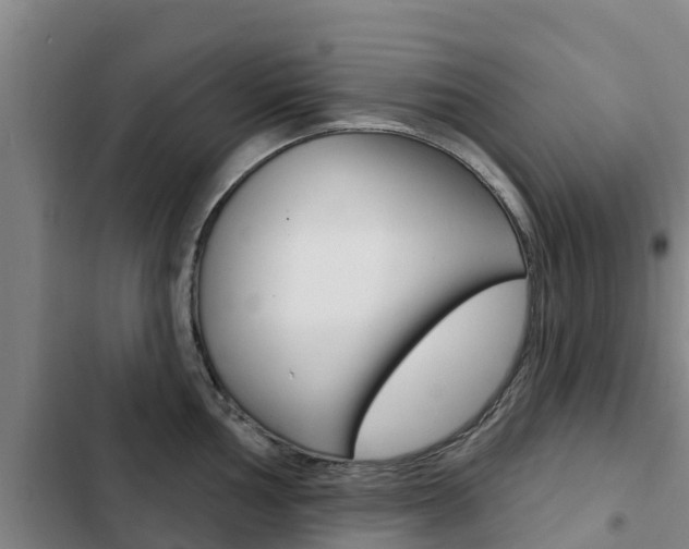 X0000103231002200808280945