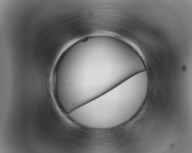 X0000103231003200808280945