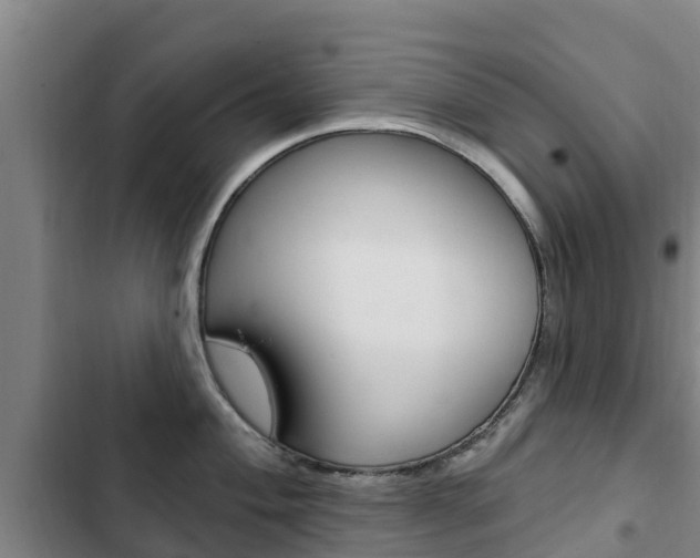 X0000103231004200808280945