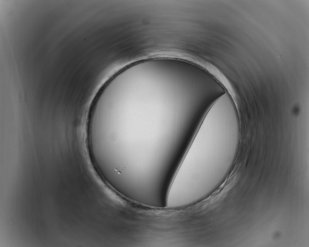 X0000103231005200808280945