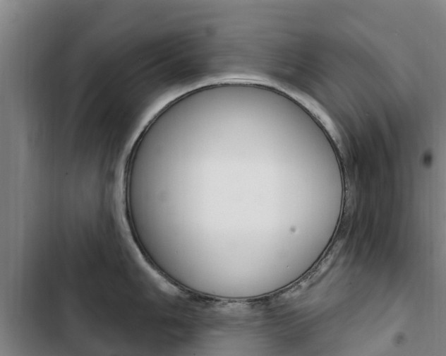 X0000103231006200808280945