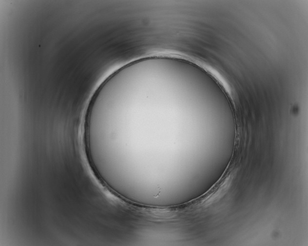 X0000103231007200808280945