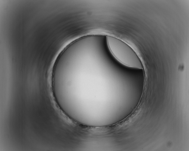 X0000103231008200808280945