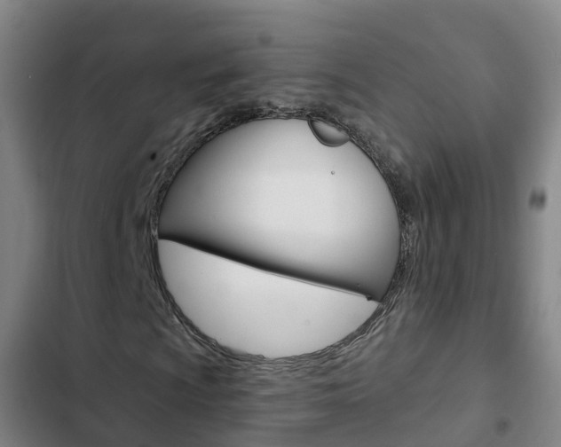 X0000103231009200808280944