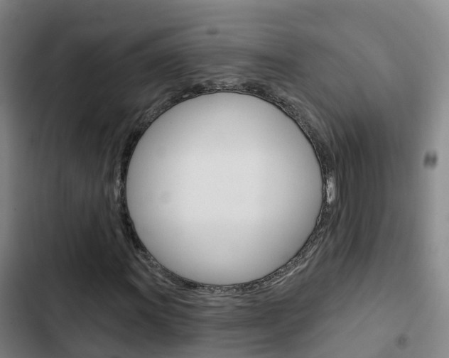 X0000103231011200808280944