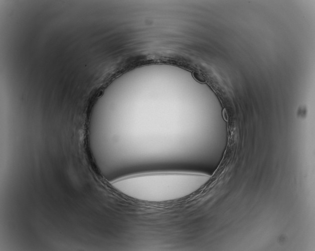 X0000103231012200808280944