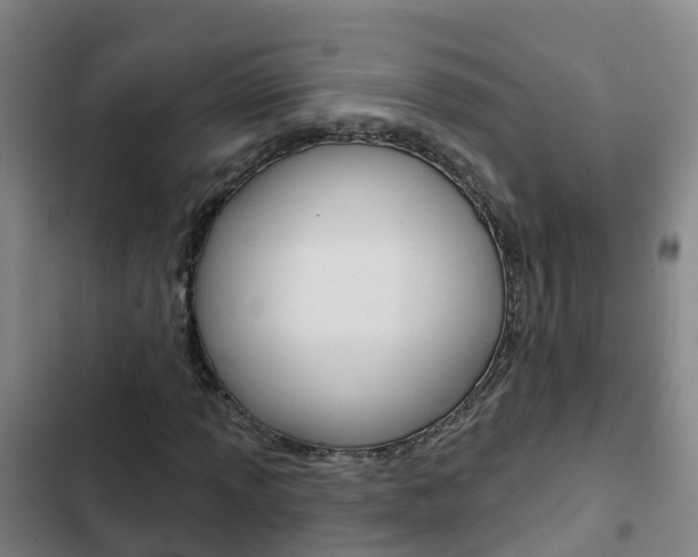 X0000103231013200808280944