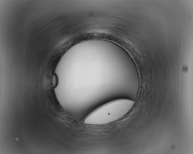 X0000103231014200808280945