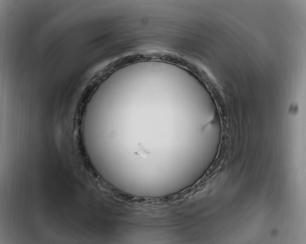 X0000103231016200808280945