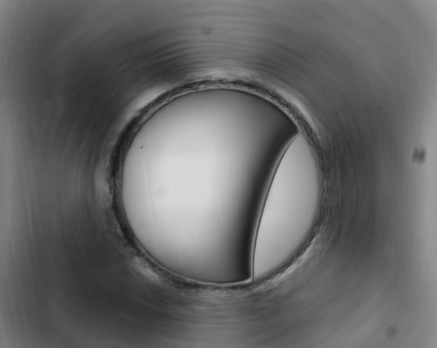 X0000103231018200808280945