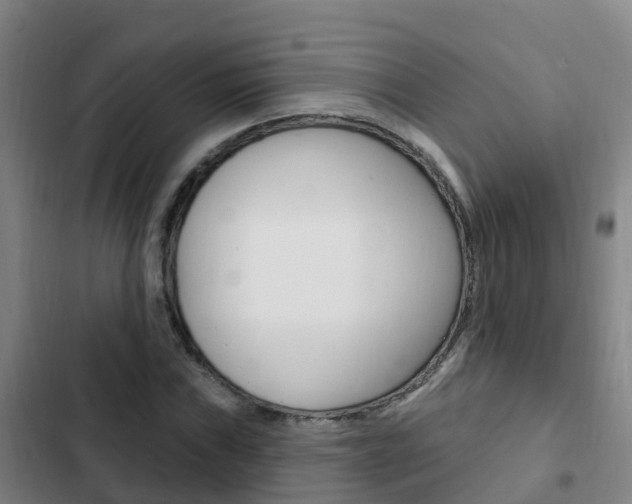 X0000103231019200808280945