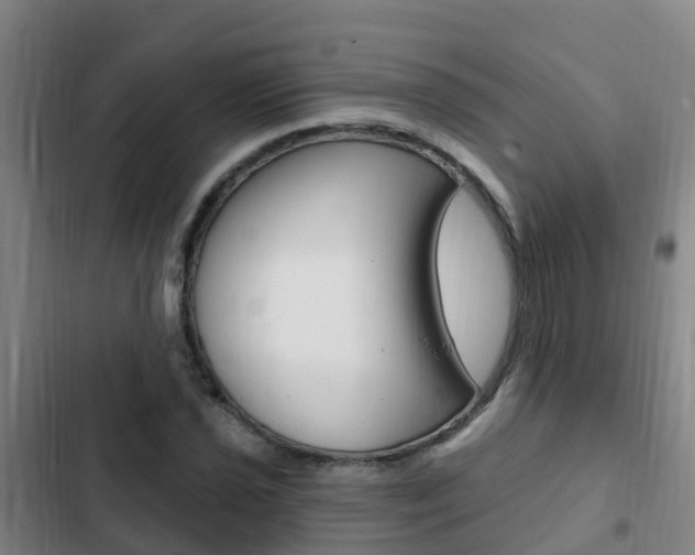 X0000103231021200808280945