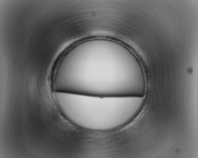 X0000103231022200808280945