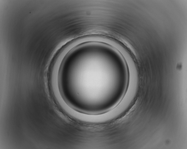 X0000103231026200808280945